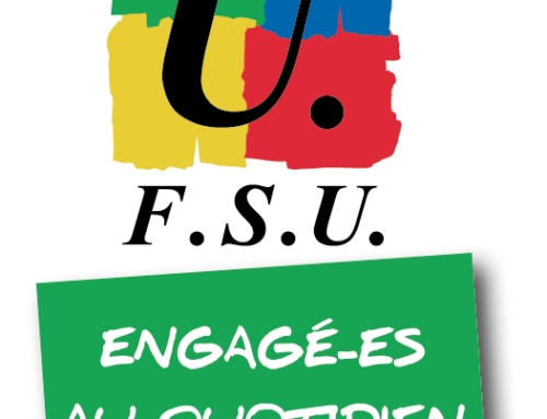 Déclaration de la FSU à la F3SCT départementale du 8 janvier 2026 